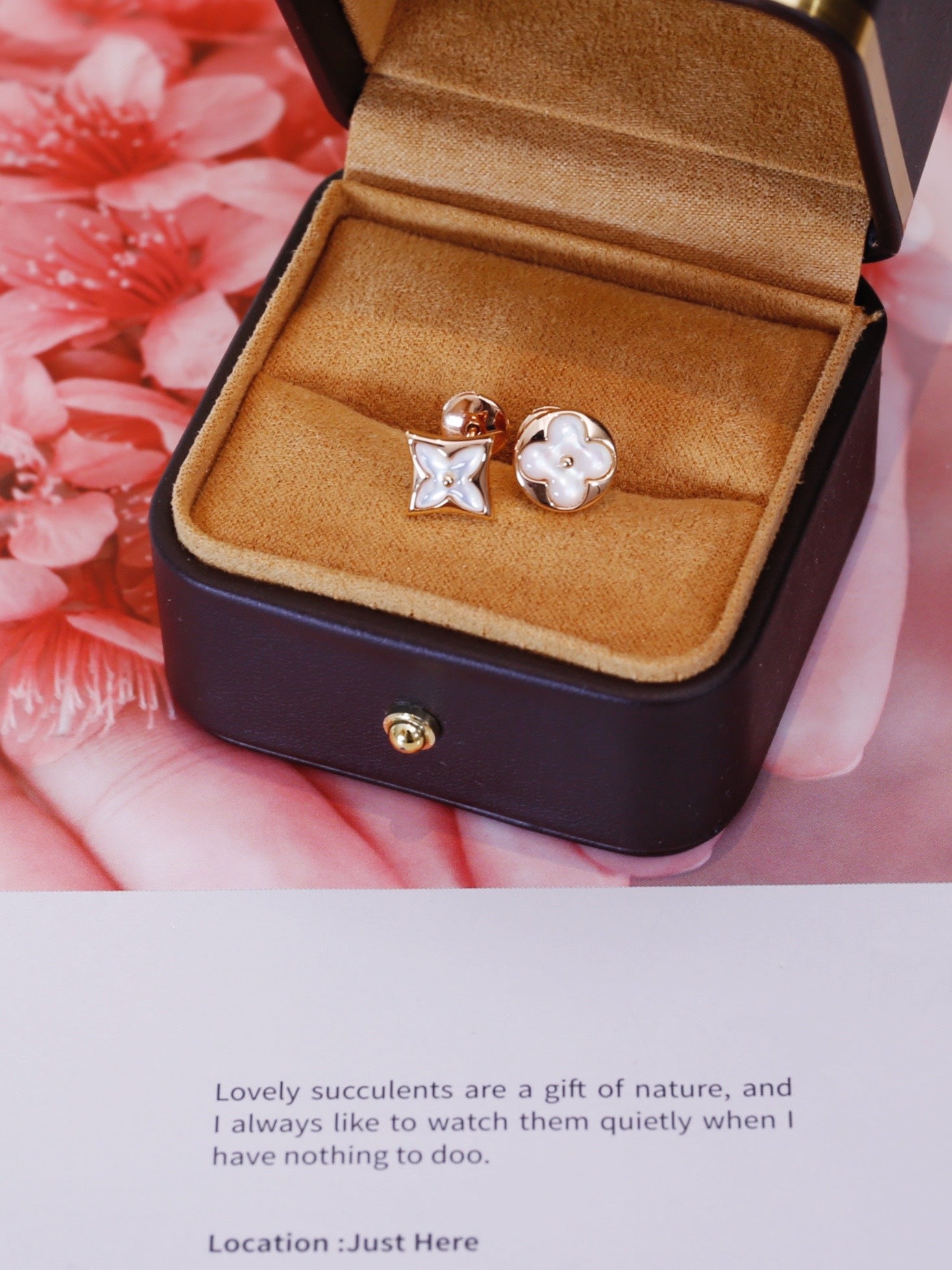 ¡®Twinkle jewelry¡¯STAR AND SUN PINK GOLD MOP STUD EARRINGS