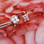 ¡®Twinkle jewelry¡¯STAR AND SUN PINK GOLD MOP STUD EARRINGS