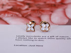 ¡®Twinkle jewelry¡¯STAR AND SUN PINK GOLD MOP STUD EARRINGS