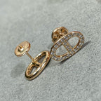 ¡®Twinkle jewelry¡¯HM FULL DIAMOND PIG NOSE STUD EARRINGS